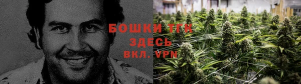ECSTASY Балабаново