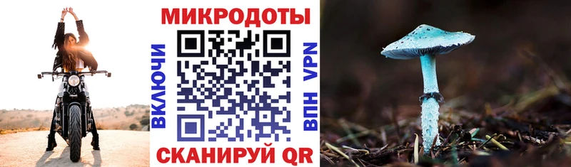 Галлюциногенные грибы Psilocybe  это формула  Борисоглебск 