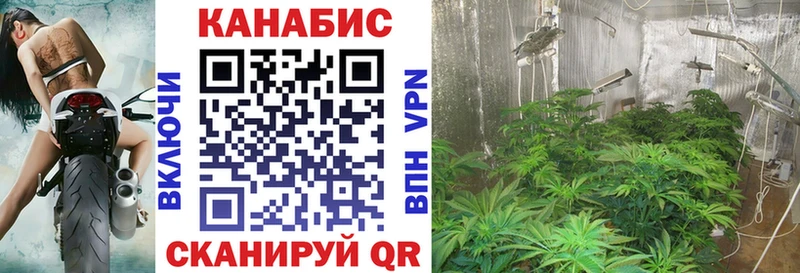 МАРИХУАНА тримм  магазин  наркотиков  Борисоглебск 